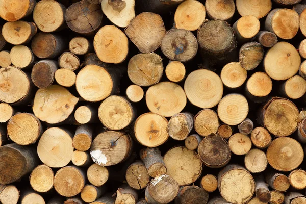 Mucchio di tronchi di legno pronti per l'inverno Foto Stock Royalty Free