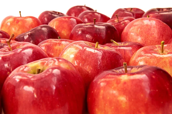 Rote Äpfel Stockbild