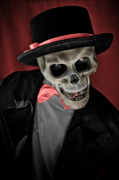 Esqueleto em suite retrato — Fotografia de Stock