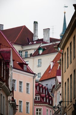 İskandinav evleri ve çatılar