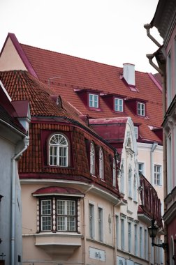 güzel windows ile İskandinav evleri
