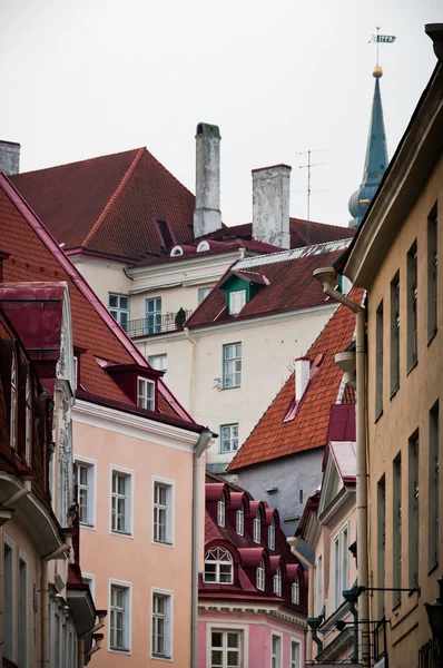 Скандинавские дома и крыши — стоковое фото