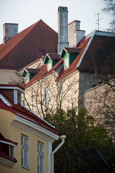 Скандинавские крыши с яркими тенями — стоковое фото