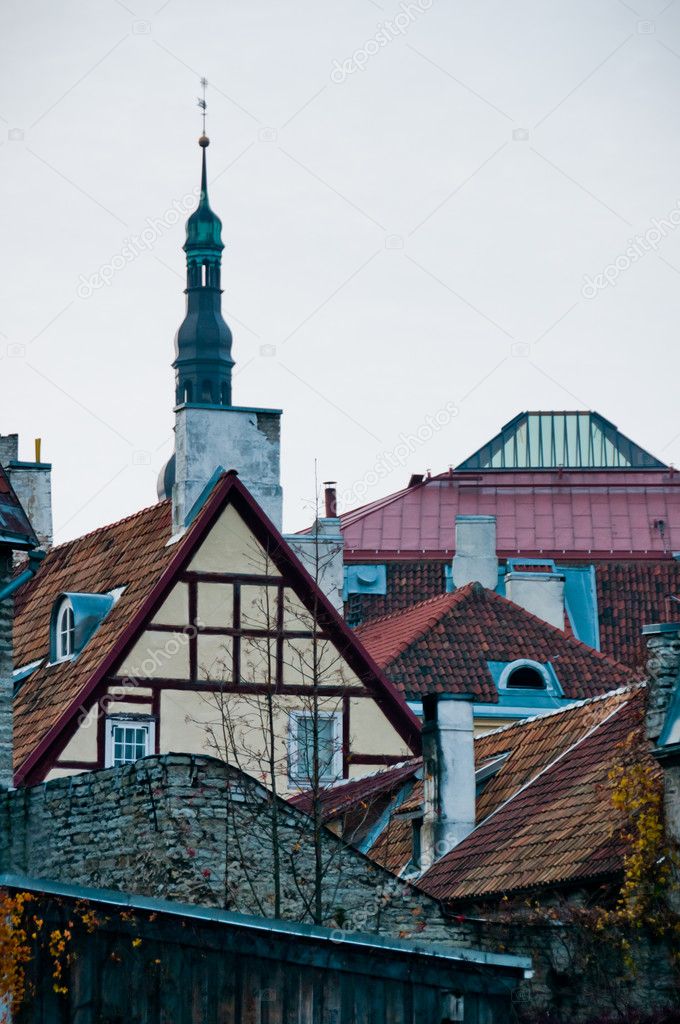 Scandinavian houses and spires