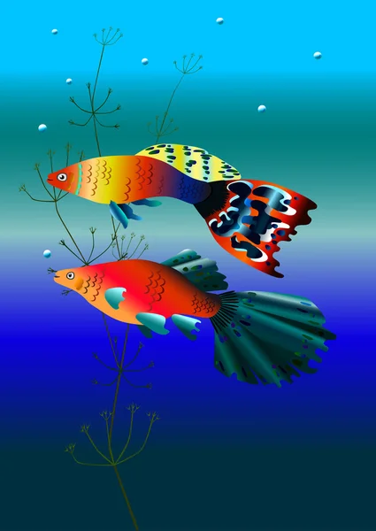 Две рыбки гуппи — Wektor stockowy