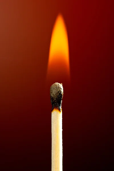 Ein Brennendes Streichholz vor Schwarzem Hintergrund Streichholz mit Fla — ストック写真