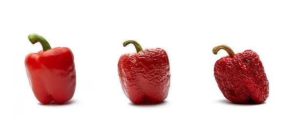 Rote Paprika im Alterungsprozess — Stockfoto