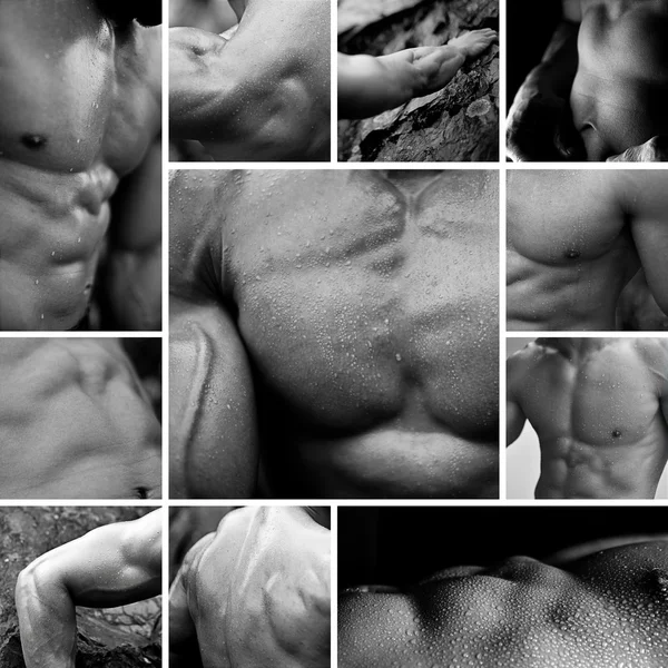 stock image Bodybuilding collage