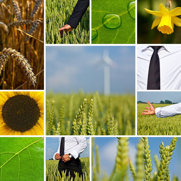 Business Ackerbau Collage