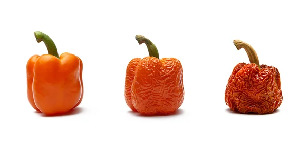 オレンジ色のパプリカの im alterungsprozess — ストック写真