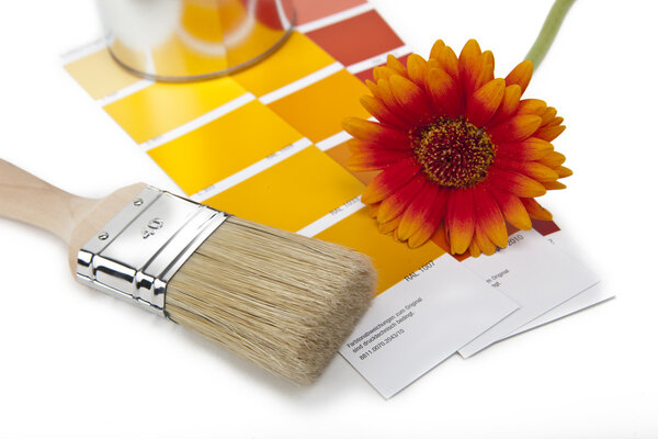 Farbe farbf:cher pinsel gerbera renovieren heimwerker baumarkt
