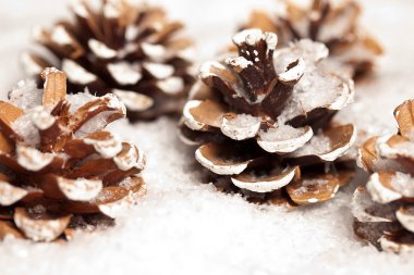 weihnachten schnee EIS tanne kış zapfen weihnachtsbaum