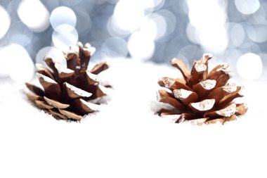 Weihnachten schnee eis tanne winter zapfen weihnachtsbaum clipart