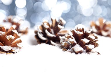 Weihnachten schnee eis zapfen winter tanne weihnachtsbaum clipart