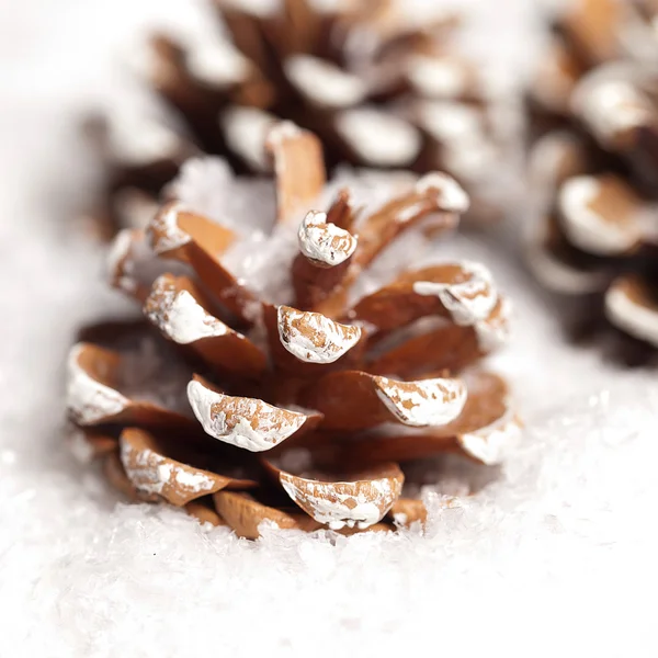 Weihnachten schnee eis Tanne inverno Zapfen weihnachtsbaum — Fotografia de Stock