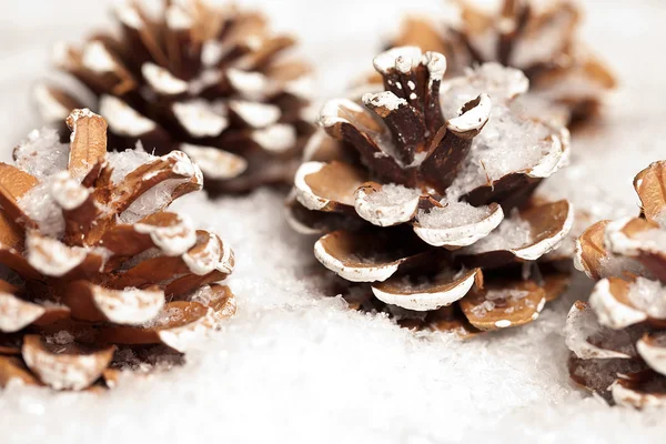 Weihnachten schnee eis tanne téli zapfen weihnachtsbaum — Stock Fotó