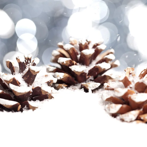 Vánoční schnee eis tanne zimní zapfen weihnachtsbaum — Stock fotografie