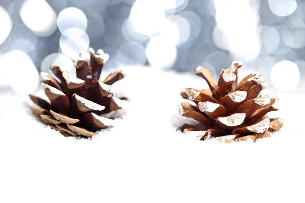 Vánoční schnee eis tanne zimní zapfen weihnachtsbaum — Stock fotografie