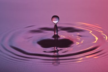 Wassertropfen tropfen regentropfen spritzer tröpfchen