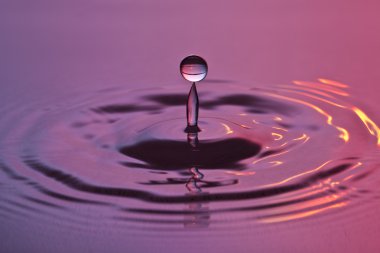 Wassertropfen tropfen regentropfen spritzer tröpfchen