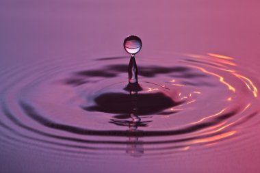 Wassertropfen tropfen regentropfen spritzer tröpfchen