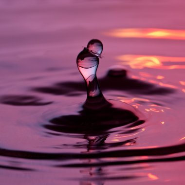 Wassertropfen tropfen regentropfen spritzer tröpfchen