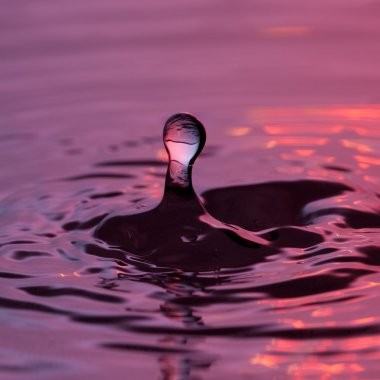 Wassertropfen tropfen regentropfen spritzer tröpfchen