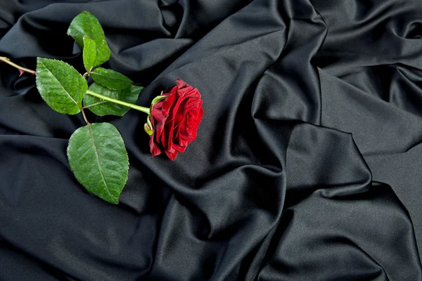Rose blume stoff seide falten tuch beerdigung sylvester liebe — Stockfoto