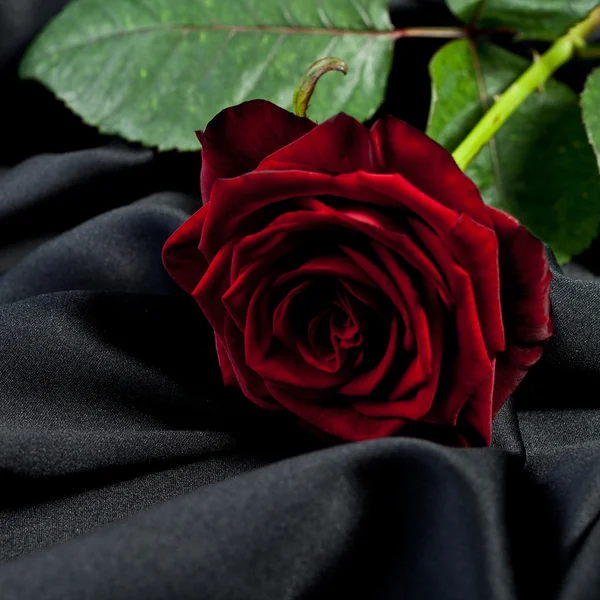 Rosa Blume Stoff Seide Falten Tuch Beerdigung Sylvester liebe — Stockfoto
