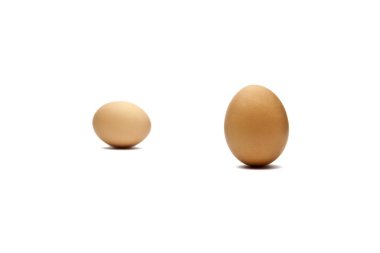 Zwei Braune eier