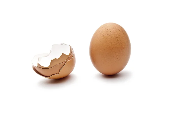 Zwie Braune eier — 图库照片