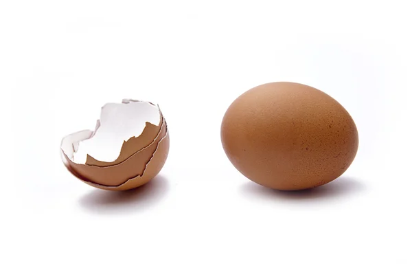 Zwie Braune eier — 图库照片