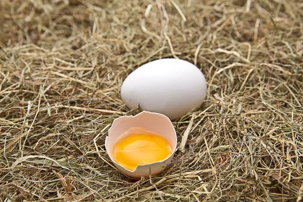 Braun und weisse Eier auf Heu — Stockfoto