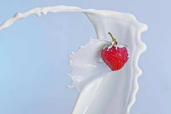 Erdbeere mit milch platsch — Photo
