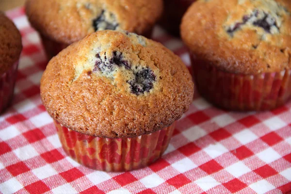 stock image Muffins with a bilberry