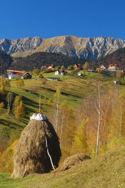 Tortum peyzaj, Romanya