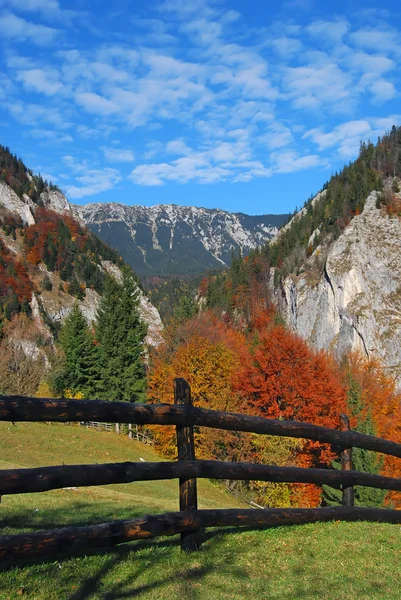 Herbstlandschaft, Rumänien — Stockfoto