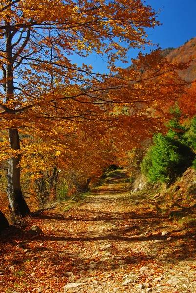 Herbstlandschaft, Rumänien — Stockfoto