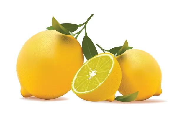 Lemons. vector illustration of a realistic — Stock Vector