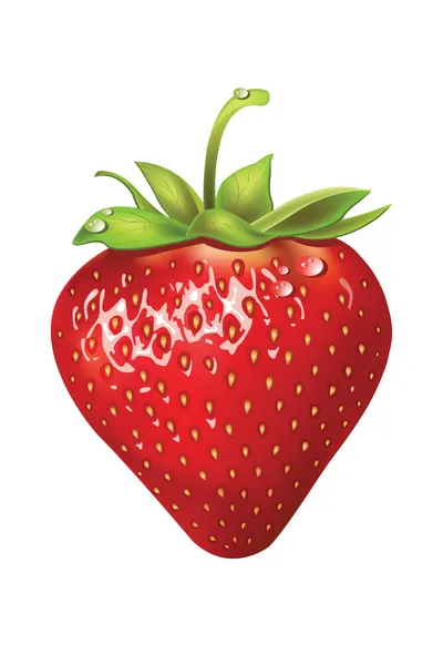 Strawberries. vector illustration of a realistic — Stock Vector