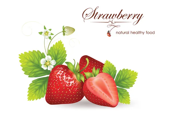 Strawberries. vector illustration of a realistic — Stock Vector