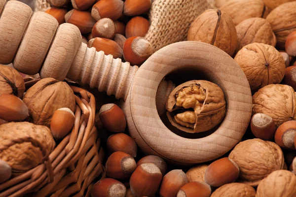 Крекер, грецкие орехи и фундук — стоковое фото