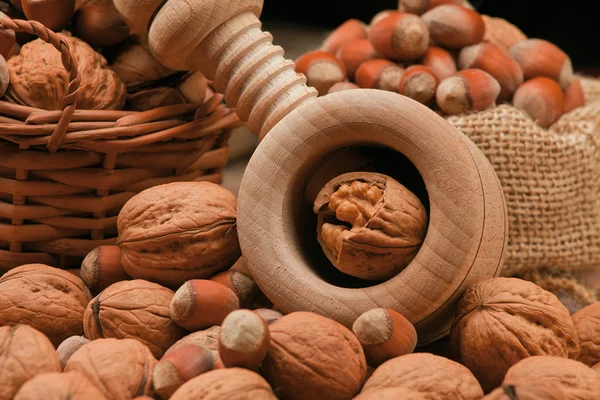 Walnuts, hazelnuts and cracker — Stock Photo, Image