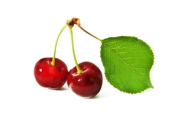 stock image Cherries with leaf