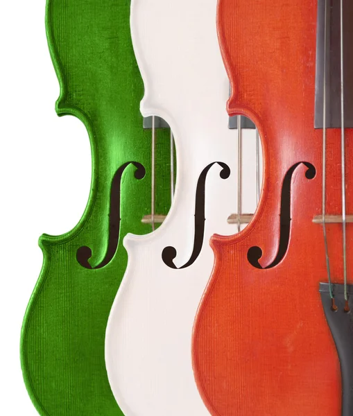 Violini Tricolore — Zdjęcie stockowe