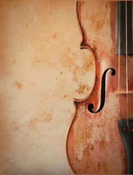 Capa de violino — Fotografia de Stock