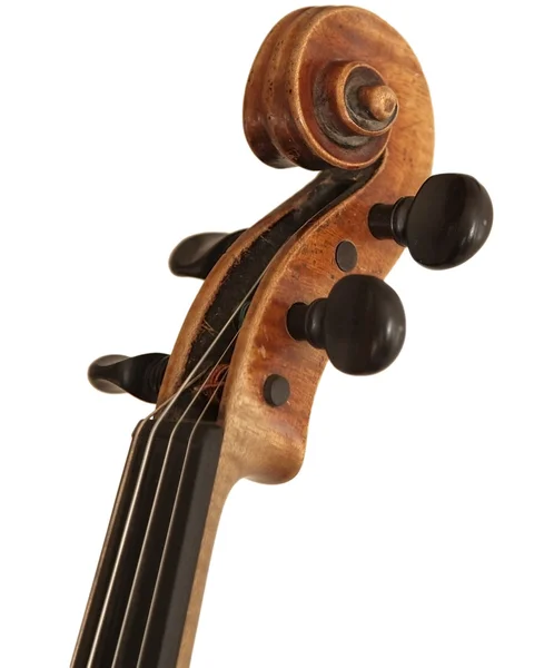 Capa de violino — Fotografia de Stock