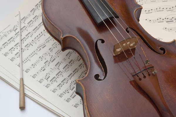 Golpe de viola Bacchetta — Fotografia de Stock