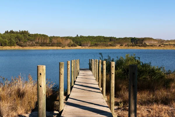 stock image Lake Access