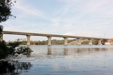 otoyol köprü manzara karşı Portekiz, mondego Nehri üzerinden